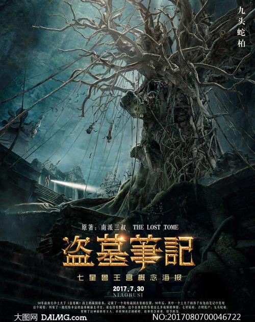 高仿爱尔兰身份证